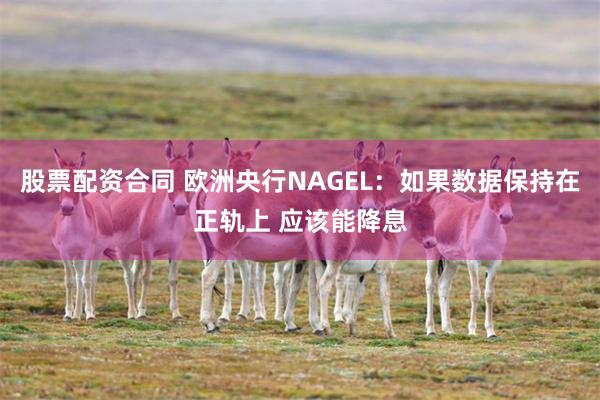 股票配资合同 欧洲央行NAGEL：如果数据保持在正轨上 应该能降息