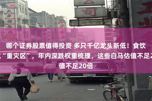 哪个证券股票值得投资 多只千亿龙头新低！食饮股成“重灾区”，年内深跌权重梳理，这些白马估值不足20倍