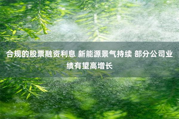 合规的股票融资利息 新能源景气持续 部分公司业绩有望高增长