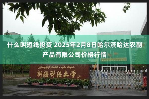 什么叫短线投资 2025年2月8日哈尔滨哈达农副产品有限公司价格行情