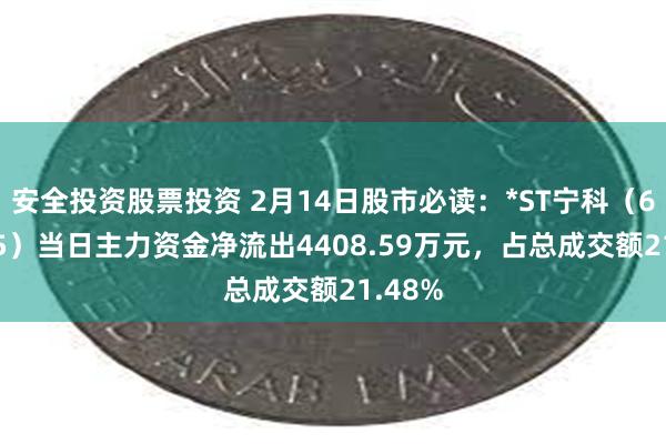 安全投资股票投资 2月14日股市必读：*ST宁科（600165）当日主力资金净流出4408.59万元，占总成交额21.48%