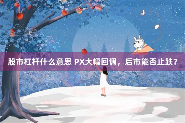 股市杠杆什么意思 PX大幅回调，后市能否止跌？