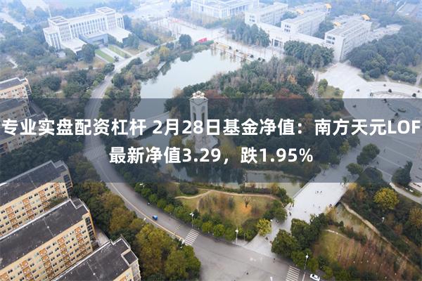 专业实盘配资杠杆 2月28日基金净值：南方天元LOF最新净值3.29，跌1.95%